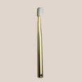 Golden Toothbrush